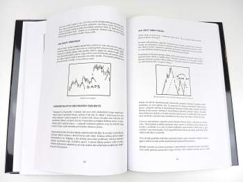 Larry R Williams: Jak jsem vydělal milion dolarů za rok obchodováním komodit
