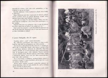W. S. Van Dyk: Jak jsme filmovali Trader Horn v Africe