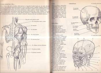 Barrington Barber: Jak lépe kreslit