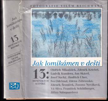 Jak lomikámen v dešti