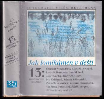 Jak lomikámen v dešti