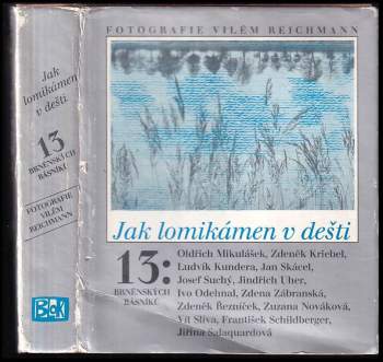 Zdeněk Kriebel: Jak lomikámen v dešti