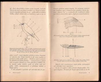 Josef Jirsík: Jak poznám ptáky v přírodě