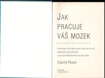 David Rock: Jak pracuje váš mozek