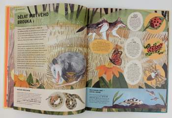 Jason Bittel: Jak se domluvit s tygrem... a dalšími zvířaty