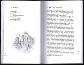 František Novotný: Jak se hladí duše