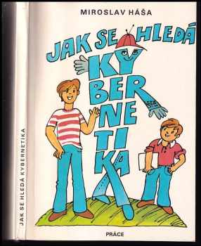 Jak se hledá kybernetika