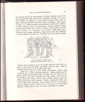 Čeněk Zíbrt: Jak se kdy v Čechách tancovalo