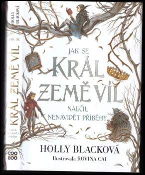 Jak se král Země víl naučil nenávidět příběhy