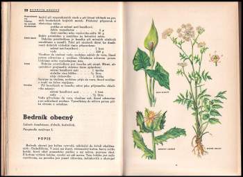 Blahoslav Hruška: Jak se léčit rostlinami