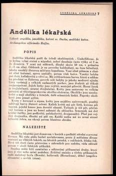 Blahoslav Hruška: Jak se léčit rostlinami