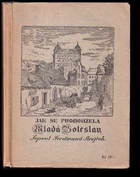Jak se probouzela Mladá Boleslav