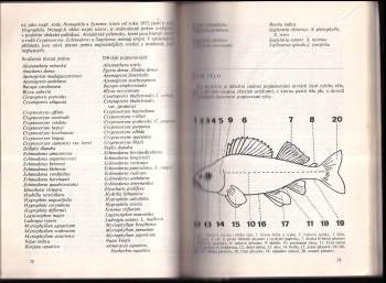 Stanislav Frank: Jak se stát akvaristou