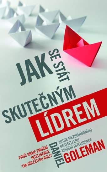 Daniel Goleman: Jak se stát skutečným lídrem