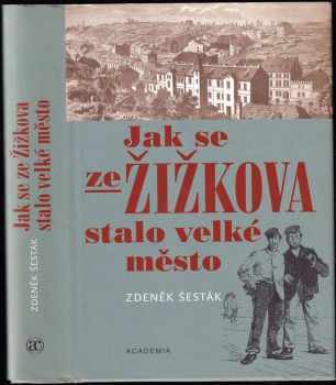 Jak se ze Žižkova stalo velké město