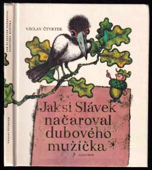 Jak si Slávek načaroval dubového mužíčka