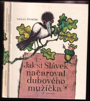 Jak si Slávek načaroval dubového mužíčka : pro začínající čtenáře