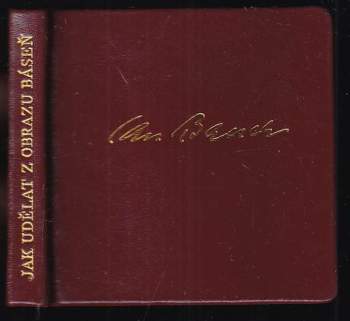 Jan Bauch: Jak udělat z obrazu báseň