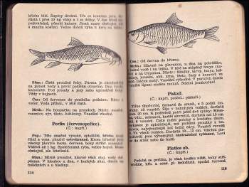 Emil Posledník: Jak úspěšně rybařit