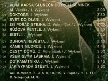 Jaroslav Wykrent: Jak Vypadá Štěstí