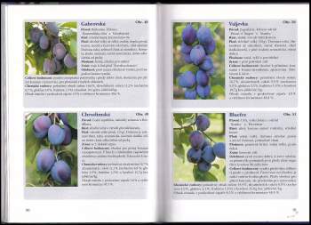 Jaroslav Balaštík: Jak vypálit lepší slivovici