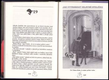 Marie Poledňáková: Jak vytrhnout velrybě stoličku