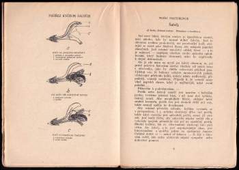 Zdeněk Záhoř: Jak vzniká život