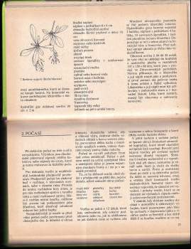 Eva Hoffmannová: Jak založit herbář