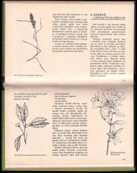 Eva Hoffmannová: Jak založit herbář