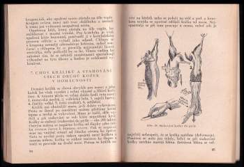 Liboslav Masner: Jak zlepšit jakost surových koží a kožek