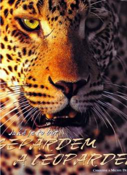 Jaké je to být gepardem a leopardem