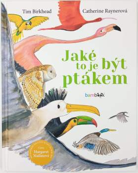 Jaké to je být ptákem