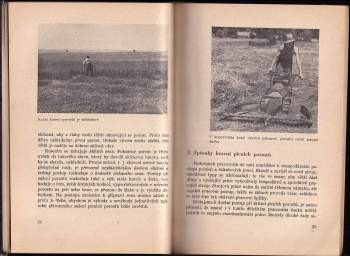 Jaroslav Herzig: Jakostní seno-základ krmení