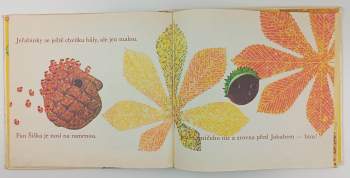 Milena Lukešová: Jakub a babí léto