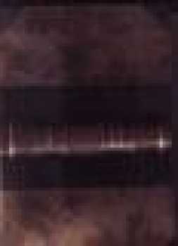 Julius Zeyer: Jan Maria Plojhar