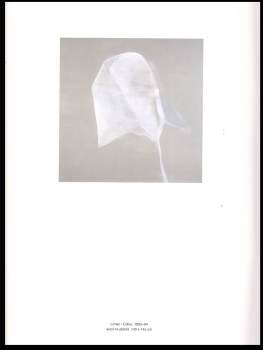 Marek Pokorný: Jan Merta - Nová síň, Praha - květen 1994