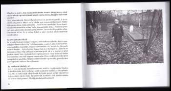 Jan Saudek: Jan Saudek na útěku