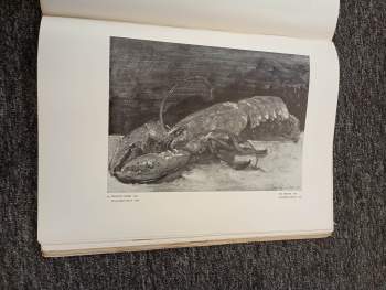 Anna Masaryková: Jan Slavíček