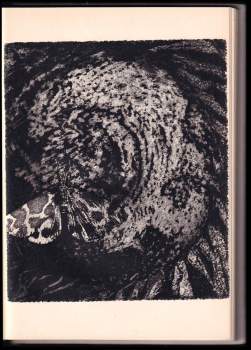 Charlotte Brontë: Jana Eyrová