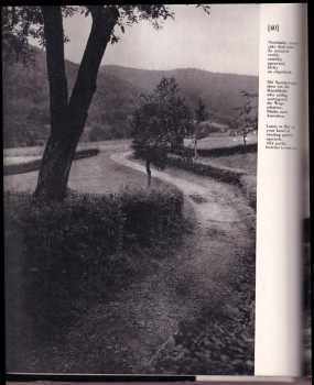 Leoš Janáček: Janáček - Hukvaldy