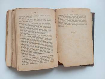 Charlotte Brontë: Jane Eyre, sirotek Lowoodský