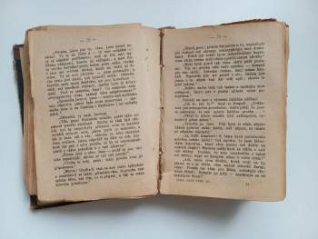 Charlotte Brontë: Jane Eyre, sirotek Lowoodský