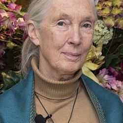 Jane Goodall