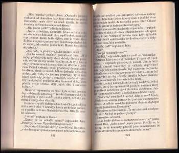 Elizabeth Lowell: Jantarová pláž