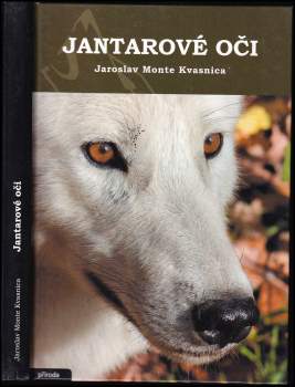Jantarové oči