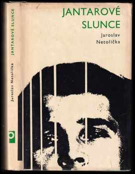 Jantarové slunce