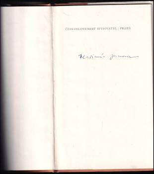 Vladimír Janovic: Jarmark v mlze