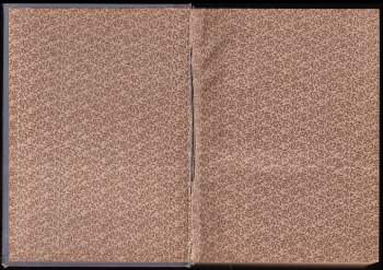 Bohumil Zahradník-Brodský: Jarní sněhy ; Z jednoho kořene : Romány