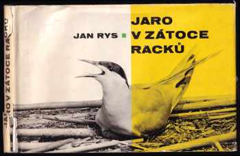 Jan Rys: Jaro v zátoce racků