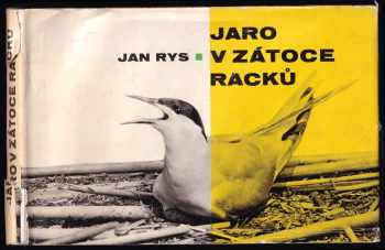 Jaro v zátoce racků